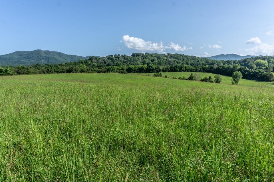 Photo #39: 1875 Good Hope Road