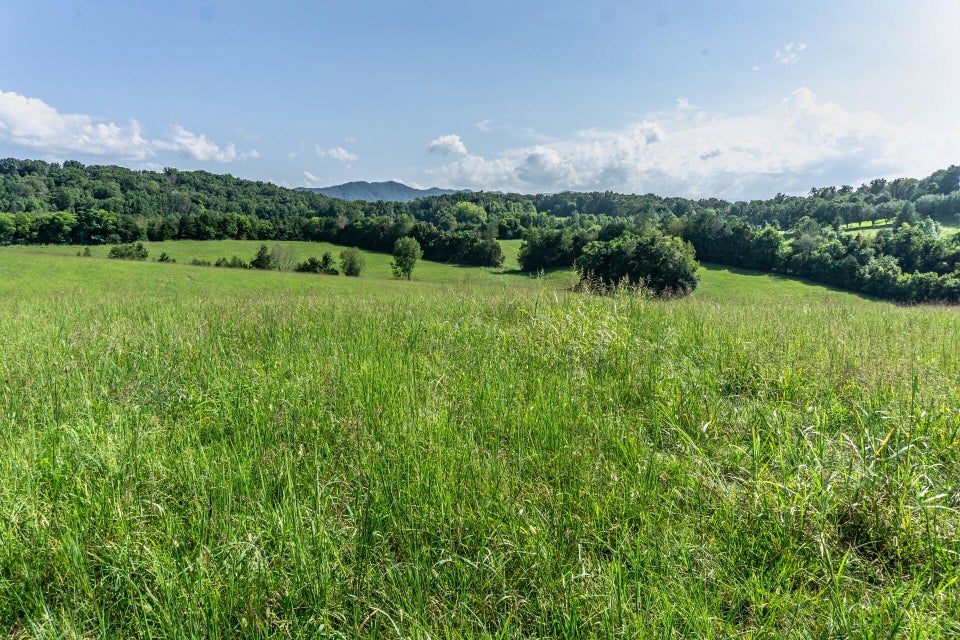 Photo #40: 1875 Good Hope Road