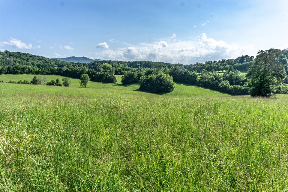 Photo #42: 1875 Good Hope Road