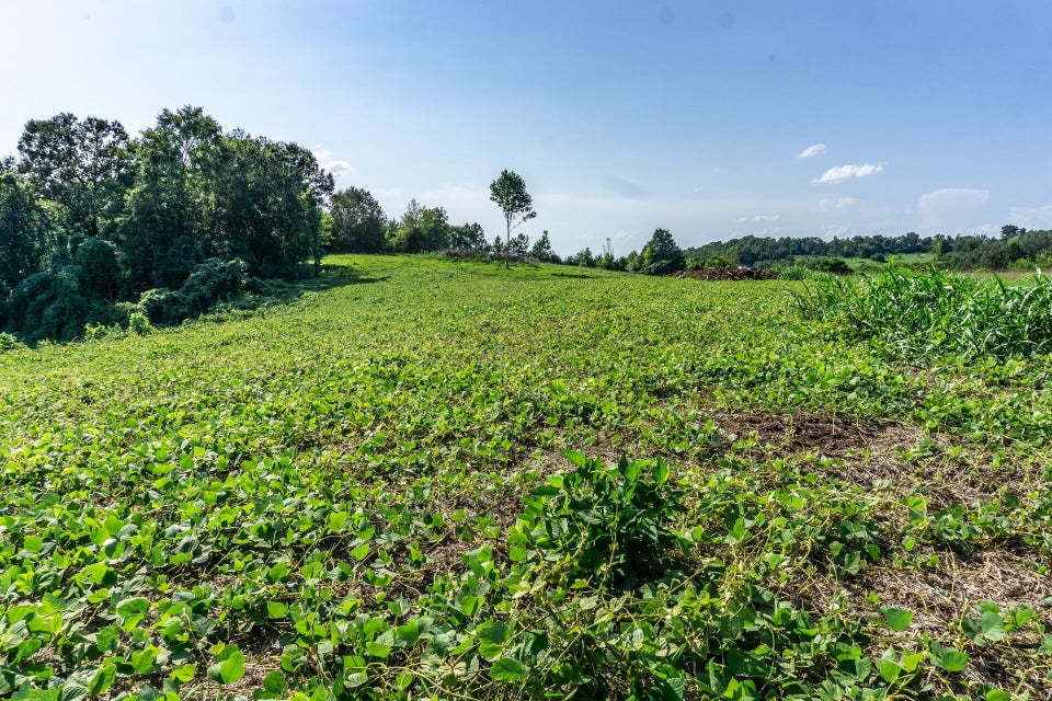 Photo #44: 1875 Good Hope Road