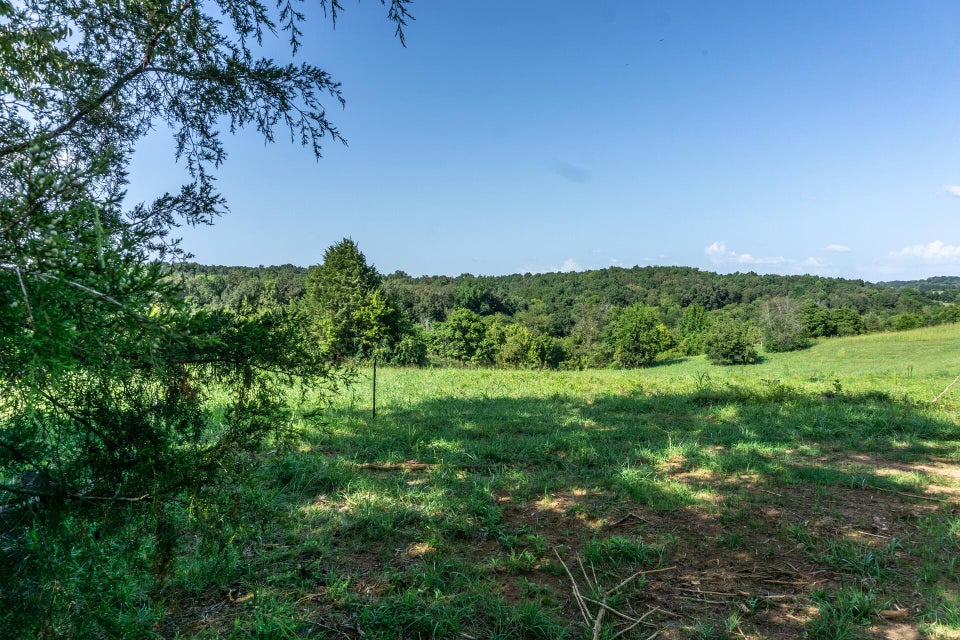 Photo #49: 1875 Good Hope Road