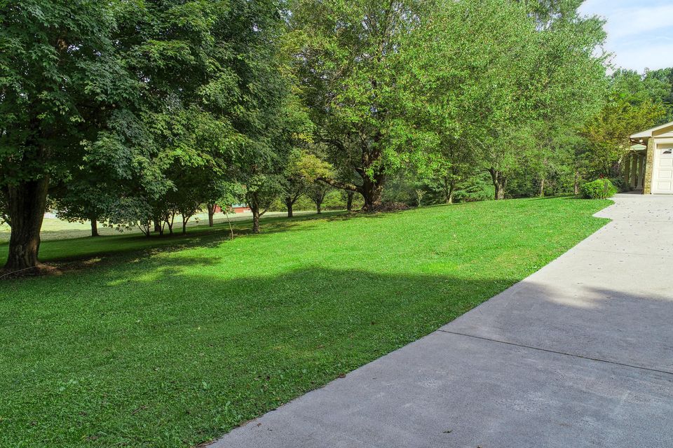 Photo #18: 271 Johnson Road