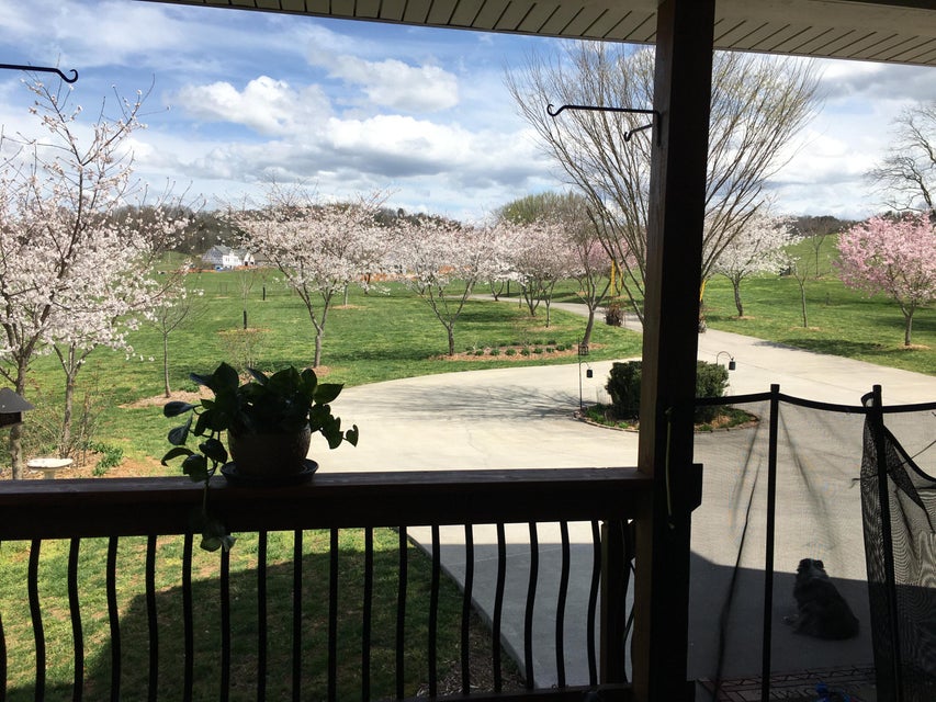 Photo #9: 1413 Carty Court Lane