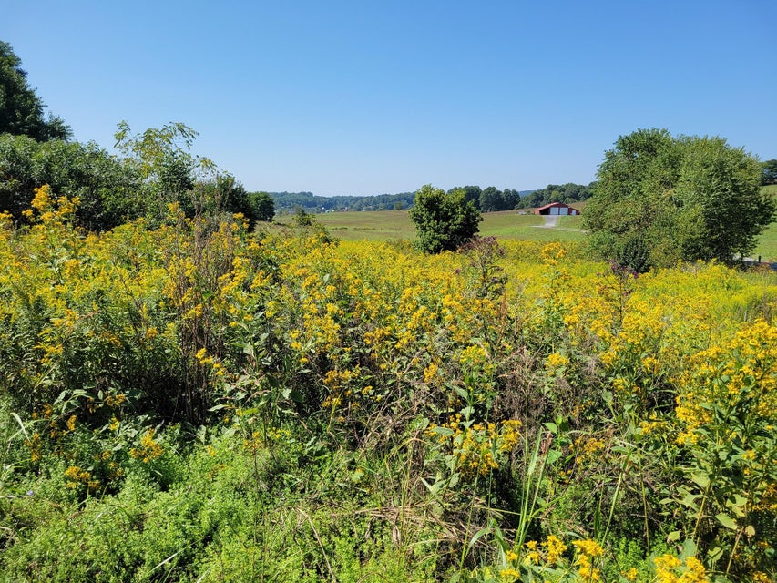 Photo #4: Tbd Musick Drive