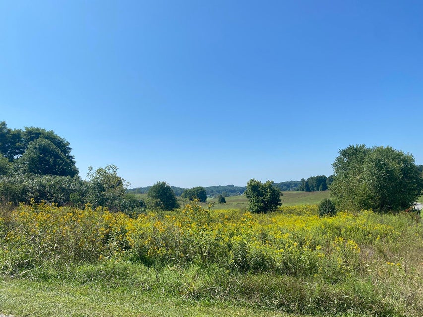 Photo #9: Tbd Musick Drive