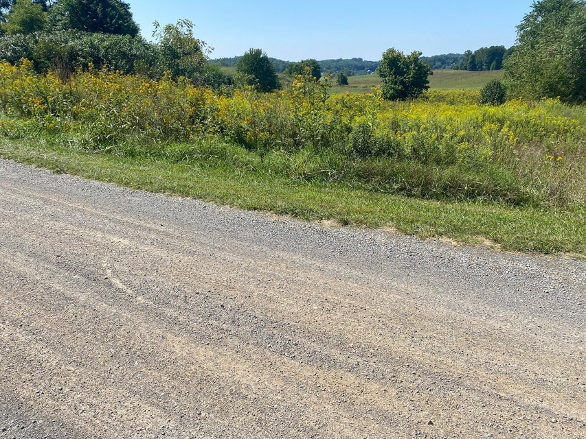 Photo #10: Tbd Musick Drive