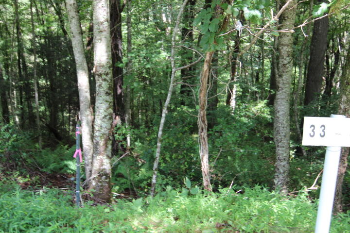 Photo #1: 000 Laurelwood Drive, Lot #33