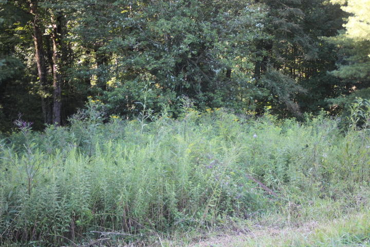 Photo #1: 000 Laurelwood Drive, Lot #56