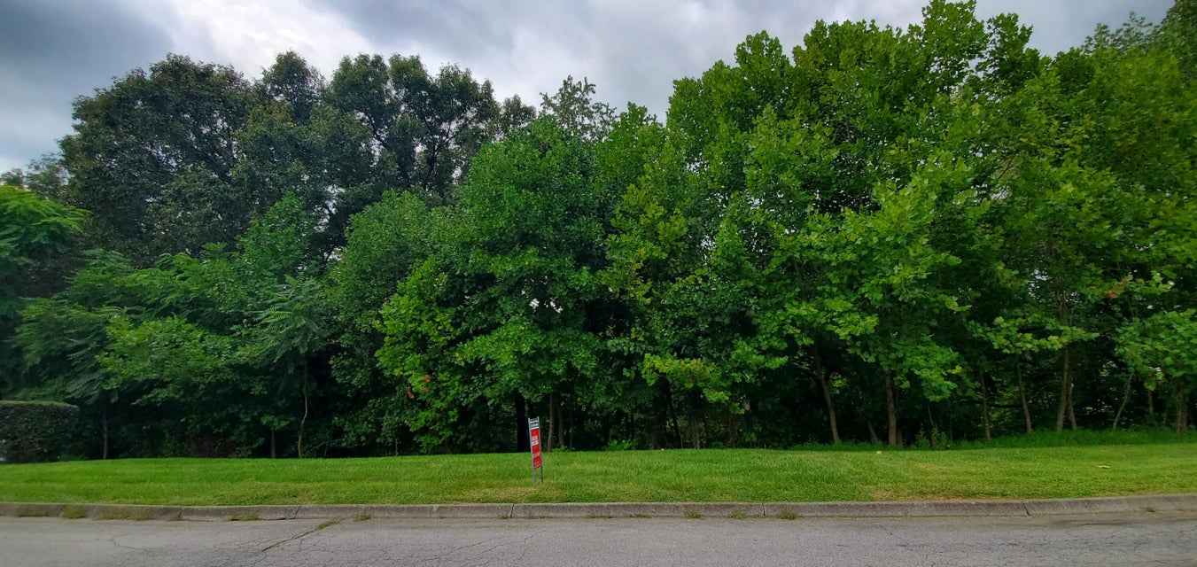 Photo #3: 148 & 152 Warrior Falls Drive