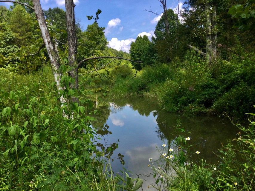 Photo #6: Tbd Snake Hollow Road