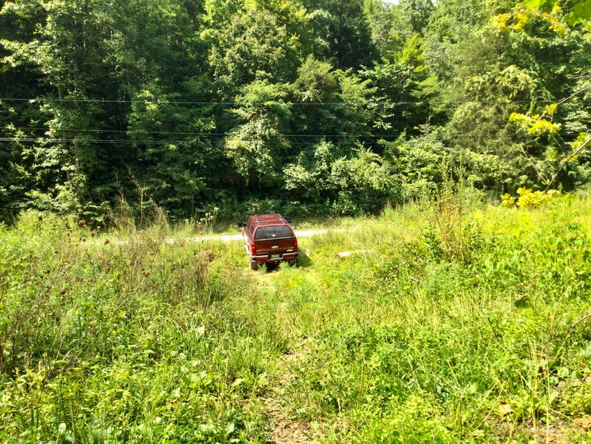 Photo #8: Tbd Snake Hollow Road
