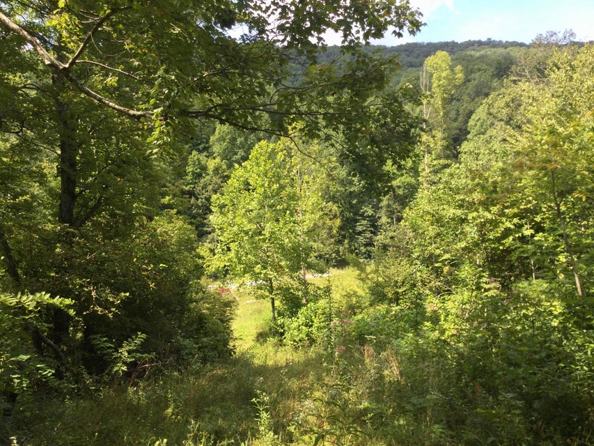 Photo #15: Tbd Snake Hollow Road