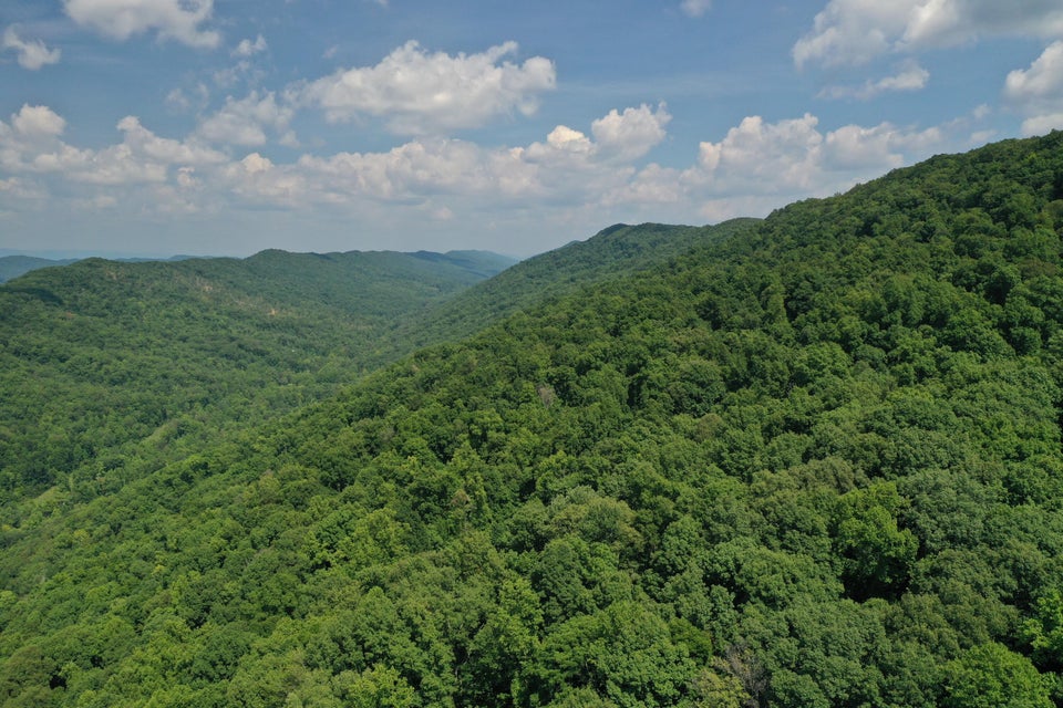 Photo #21: Tbd Snake Hollow Road