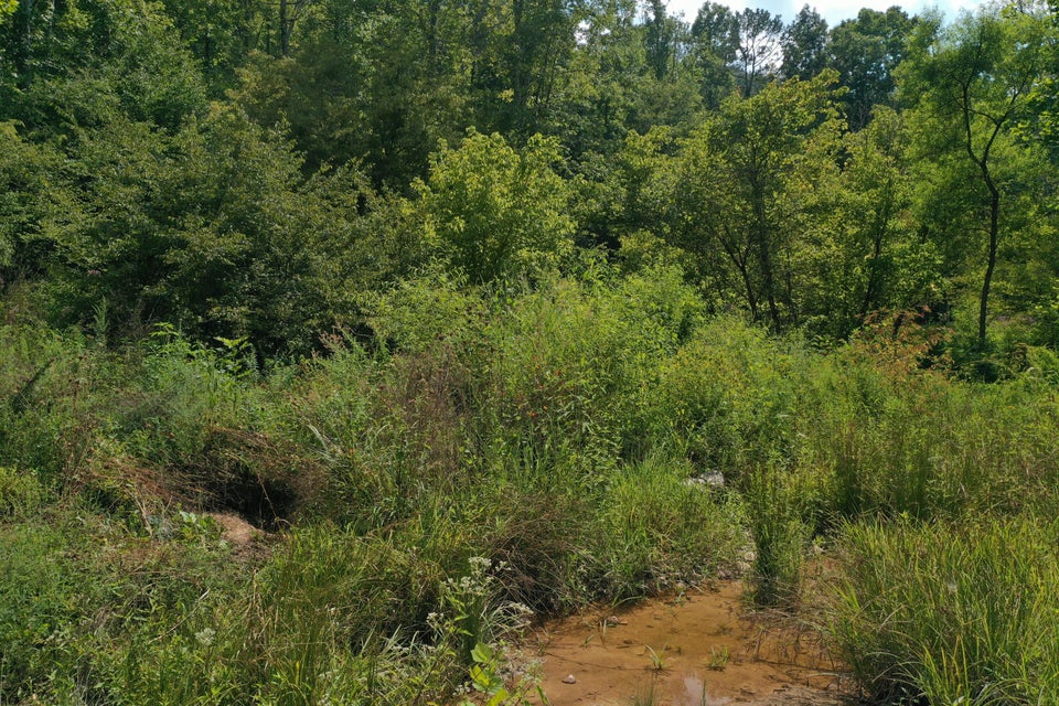 Photo #31: Tbd Snake Hollow Road