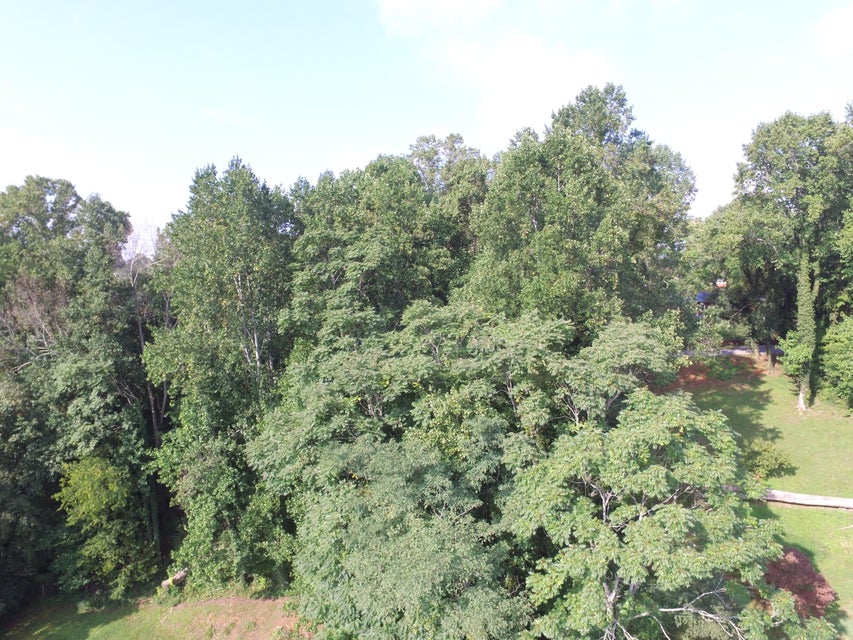 Photo #27: 935 Hall Drive