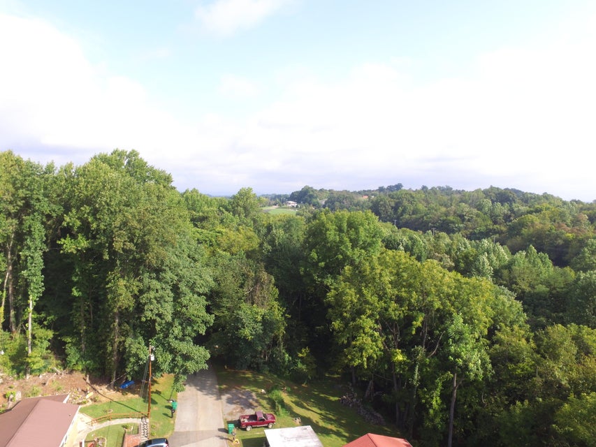 Photo #30: 935 Hall Drive