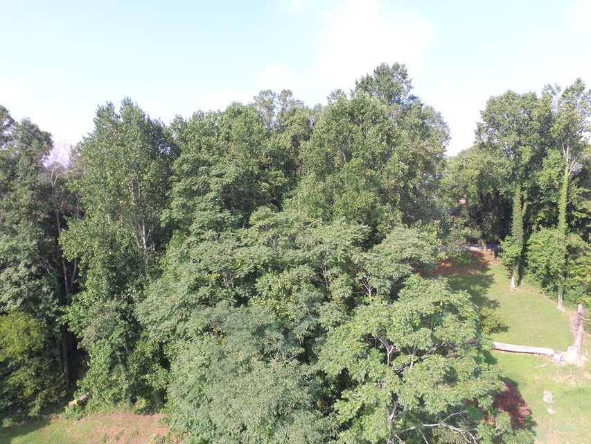 Photo #32: 935 Hall Drive