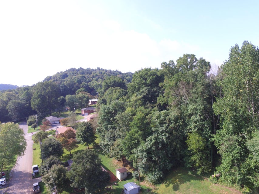 Photo #33: 935 Hall Drive