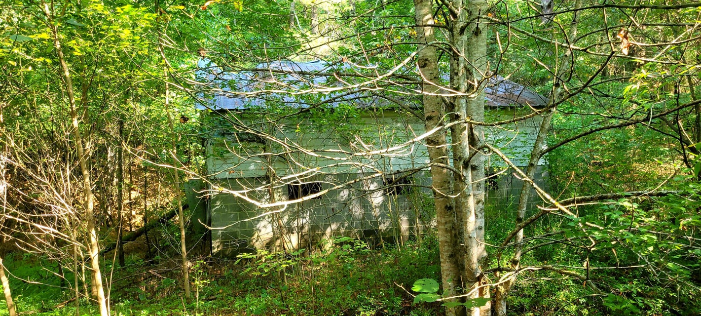 Photo #42: 10524 Killen Hollow Road