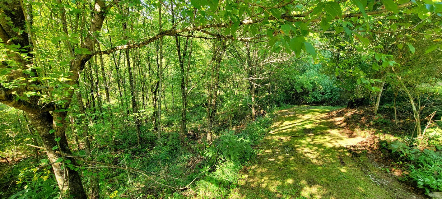 Photo #43: 10524 Killen Hollow Road