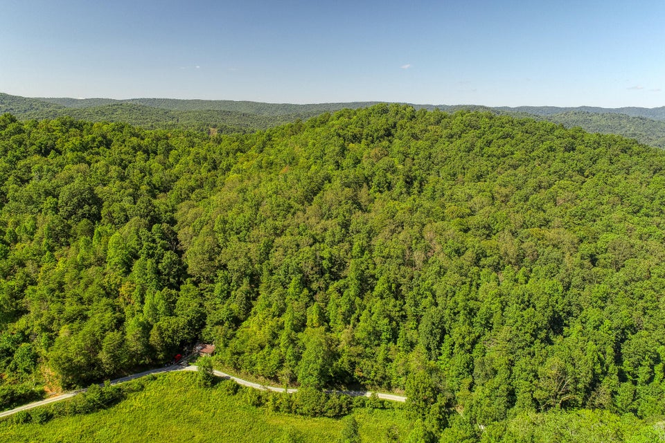 Photo #6: 582 Brooks Road