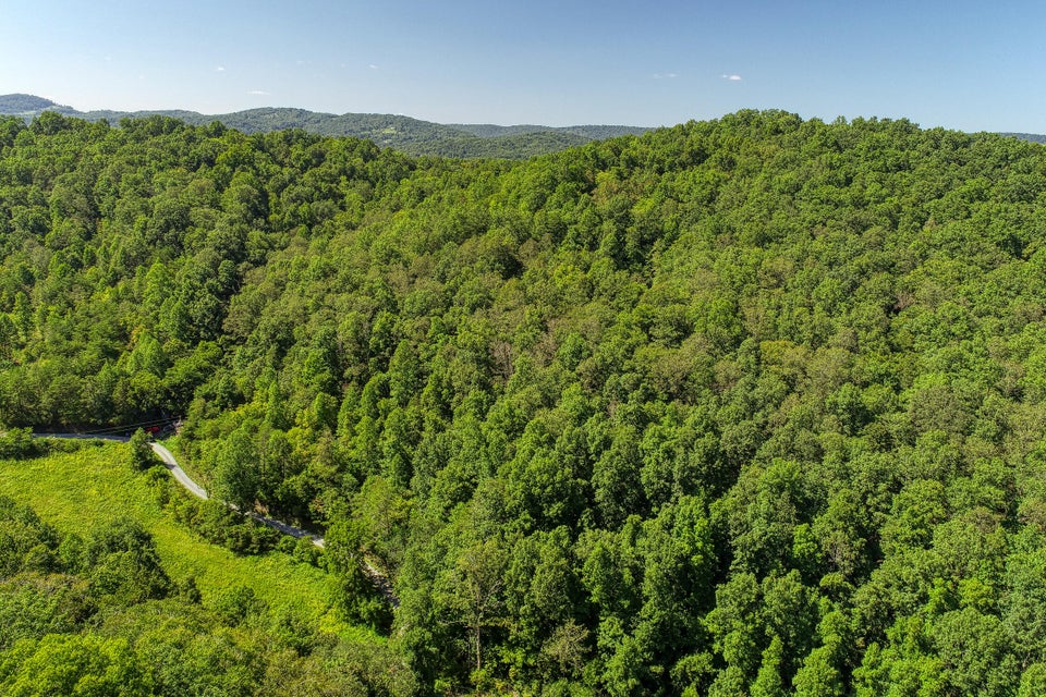 Photo #8: 582 Brooks Road