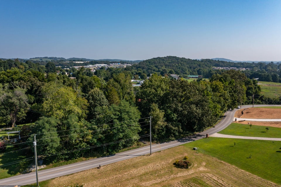 Photo #10: 0 Old Tusculum Road