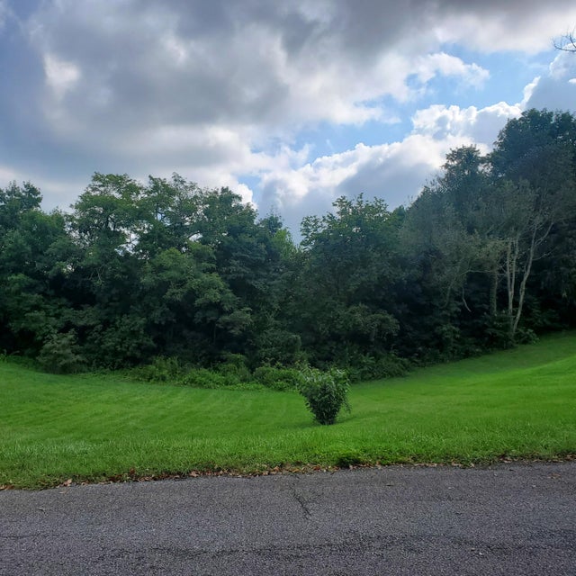 Photo #6: 4525 Brockland Drive