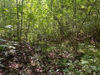 Photo #15: Tbd Hogan West Lane