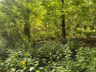 Photo #19: Tbd Hogan West Lane