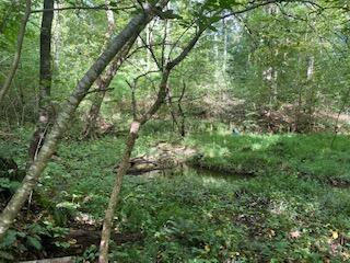 Photo #7: Tbd Hogan West Lane