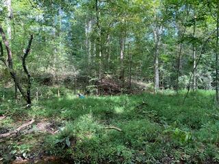 Photo #6: Tbd Hogan West Lane