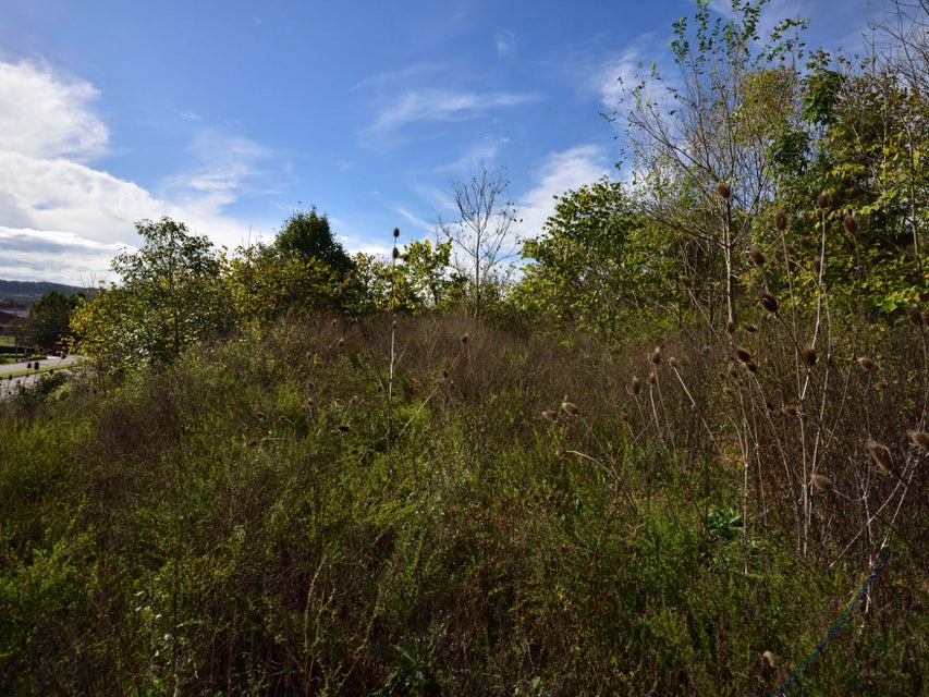 Photo #7: 2600 Timbers Edge Trace