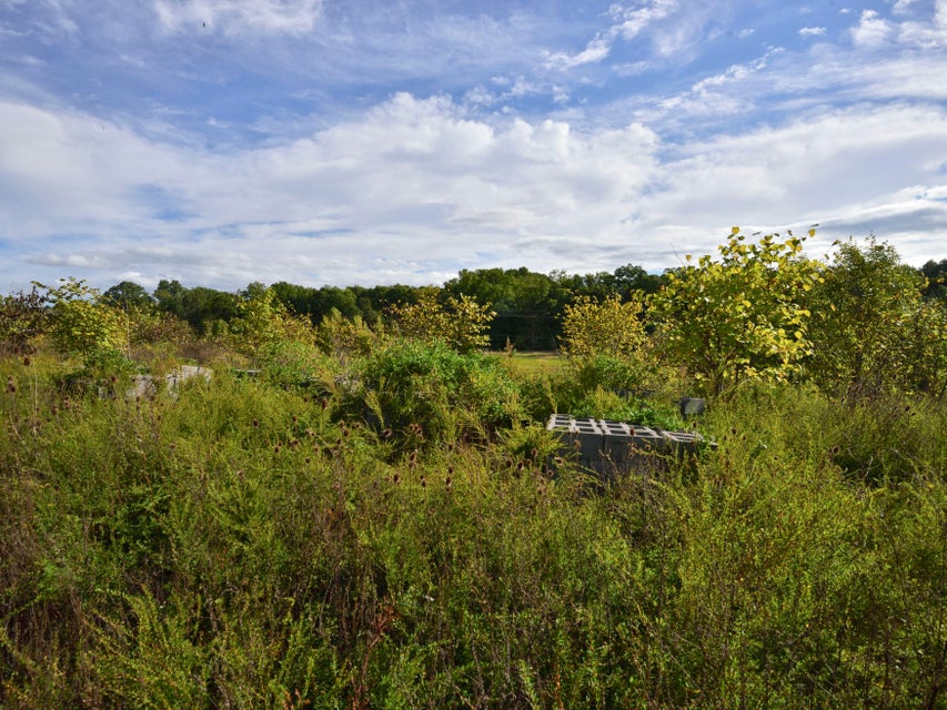 Photo #3: 2600 Timbers Edge Trace