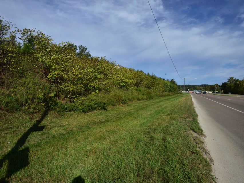Photo #11: 2600 Timbers Edge Trace