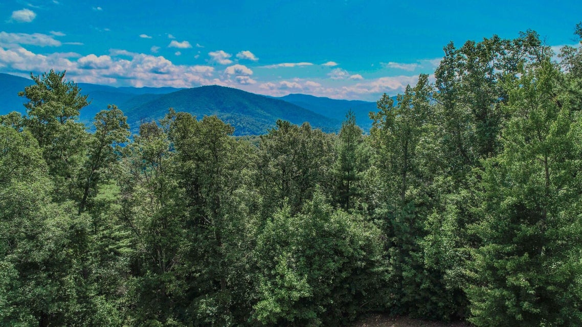 Photo #33: 994 Ridge Hollow Road