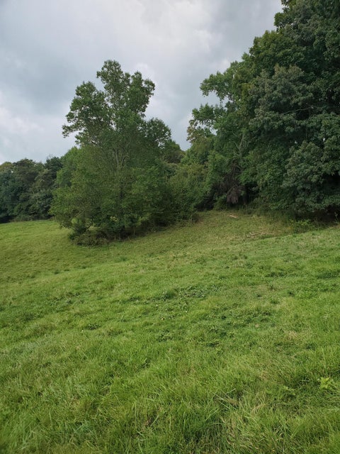 Photo #7: 0 Upper Sand Valley Road