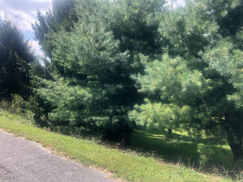 Photo #2: 134 Country Club Drive