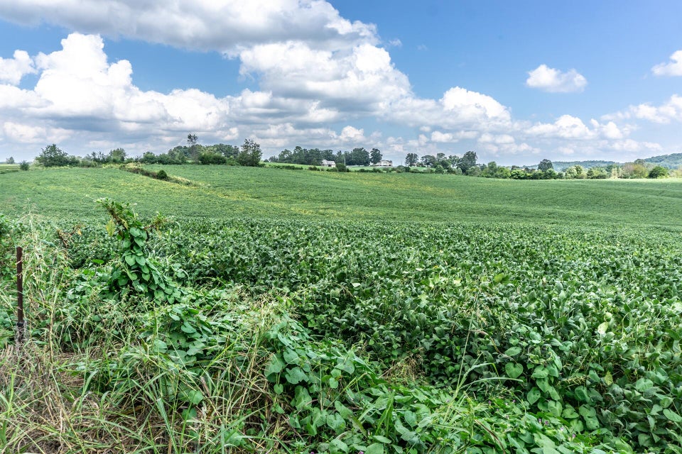 Photo #37: 00 Barren Valley Rd
