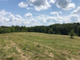 Photo #7: 855 Welcome Grove Road