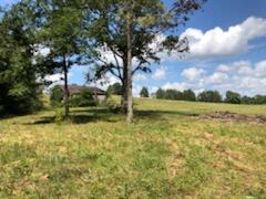 Photo #11: 855 Welcome Grove Road