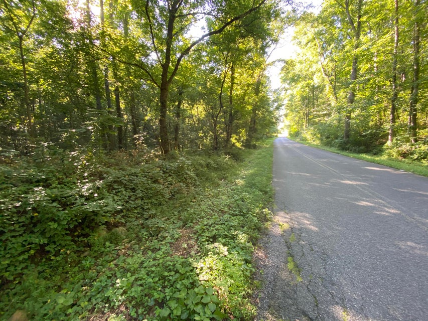 Photo #1: Tbd Bill Jones Rd.