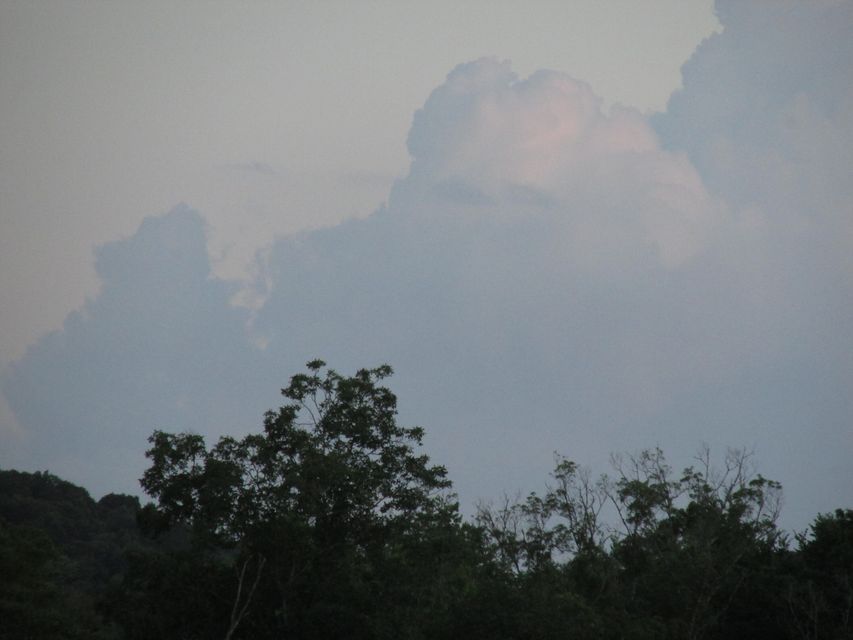 Photo #2: Tbd Little Warrensburg Road