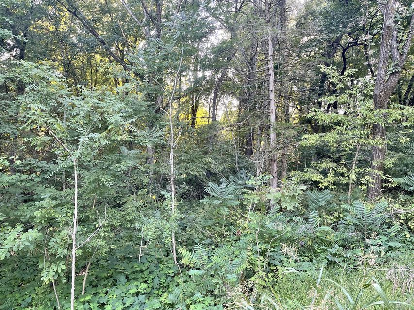 Photo #6: Tbd H R King Road