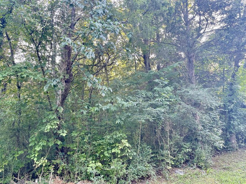 Photo #7: Tbd H R King Road