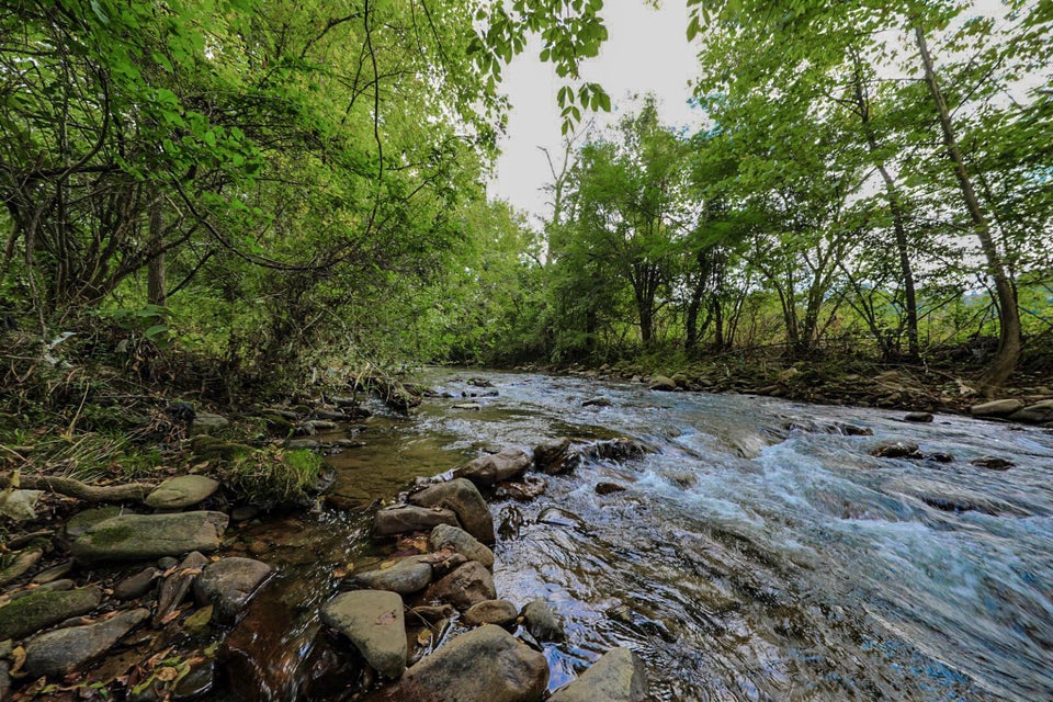 Photo #7: 724 Highway 107