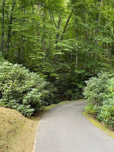 Photo #12: 7027 Birchfield Road