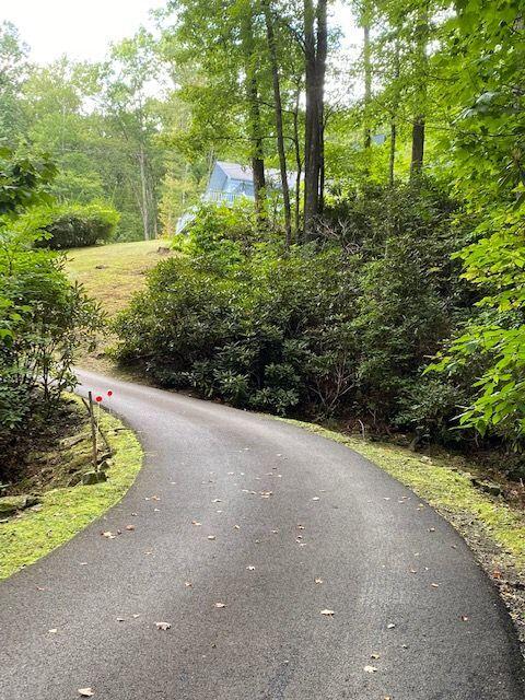 Photo #13: 7027 Birchfield Road