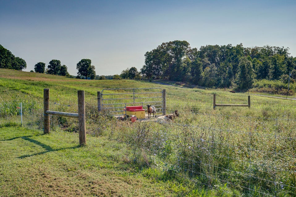 Photo #38: 171 Byington Road