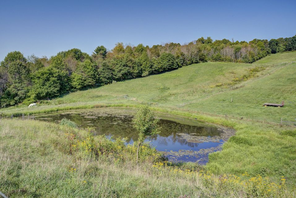 Photo #43: 171 Byington Road